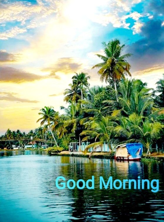 Karthika_s1's tweet image. എല്ലാവർക്കും,
ഐശ്വര്യമുളള, ദീപ്തമായ ദിനം ആശംസിക്കുന്നു...
🪩🪩🩵🪩🪩🩵🪩🪩🩵🪩🪩🩵🪩🪩
Wishing you all an Affluential and Brightful day 💙