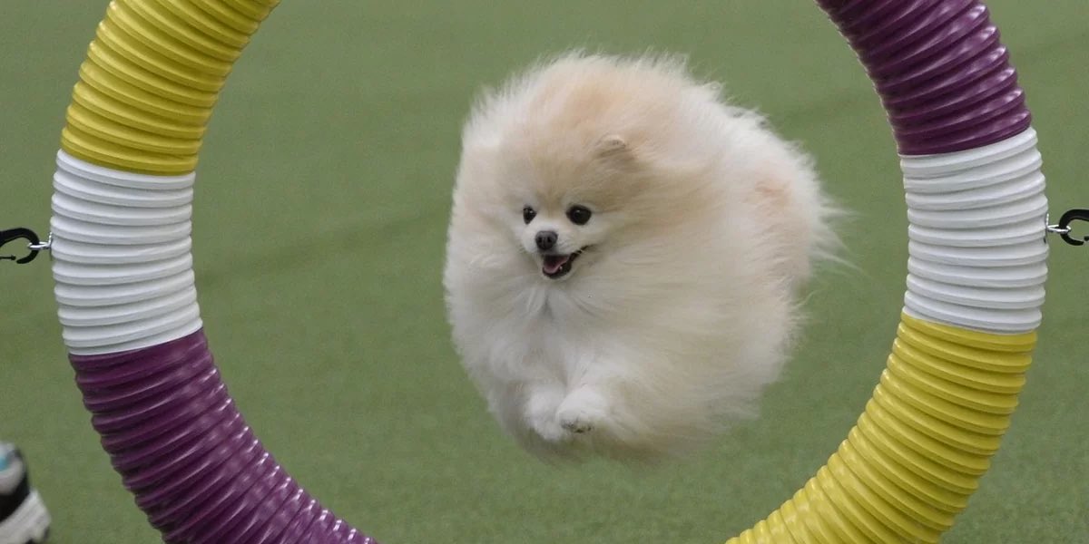 How Chelley had Ace during tonight’s challenge 💀 #loveislandsusa