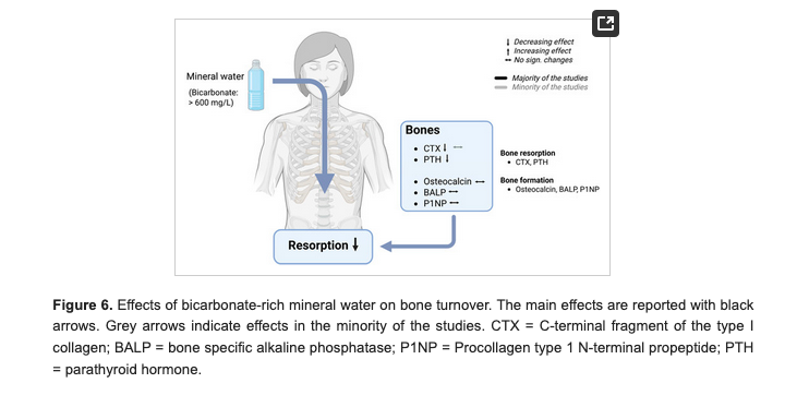 HealthyFellow's tweet image. #Hydration Meets Regulation: Insights Into #Bicarbonate #Mineral #Water &amp;amp; Acid–Base Balance

mdpi.com/2072-6643/17/1…

@_atanas_ @_INPST @ScienceCommuni2 @DHPSP @drjamesdinic @NTFabiano @NutritionSchool @H4HInitiative @LowOxCoach1 @bonehealthBHOF @GerolsteinerUSA @AskDrShashank