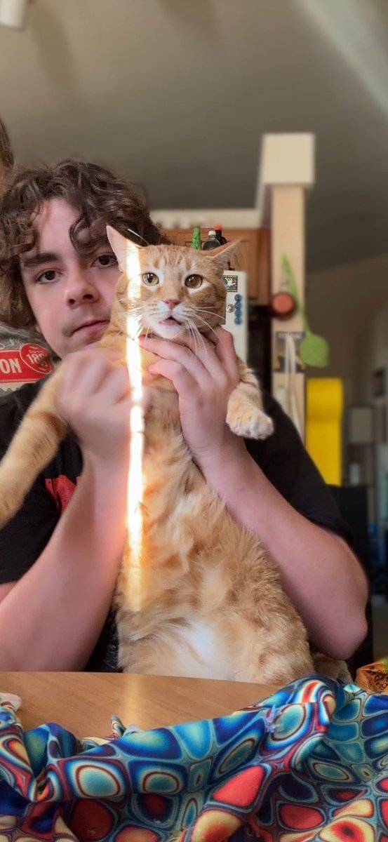 MyKittyVinnie's tweet image. Y’all - I am so beyond grateful for all of your support for Shasta’s family during this medical emergency. She’s currently drinking and peeing normally, but not eating much. Any amount, or even a share means the world! gofund.me/e8ff61ff