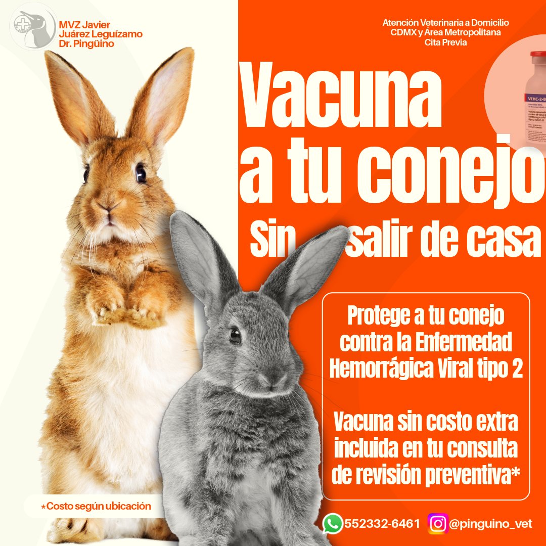 ¿Me ayudan a compartir para que llegue a quien lo necesite?
Atención veterinaria a domicilio para animales de compañía no convencionales 
 🦜🐢🐰🐟🐸 
📍CDMX y Área Metropolitana