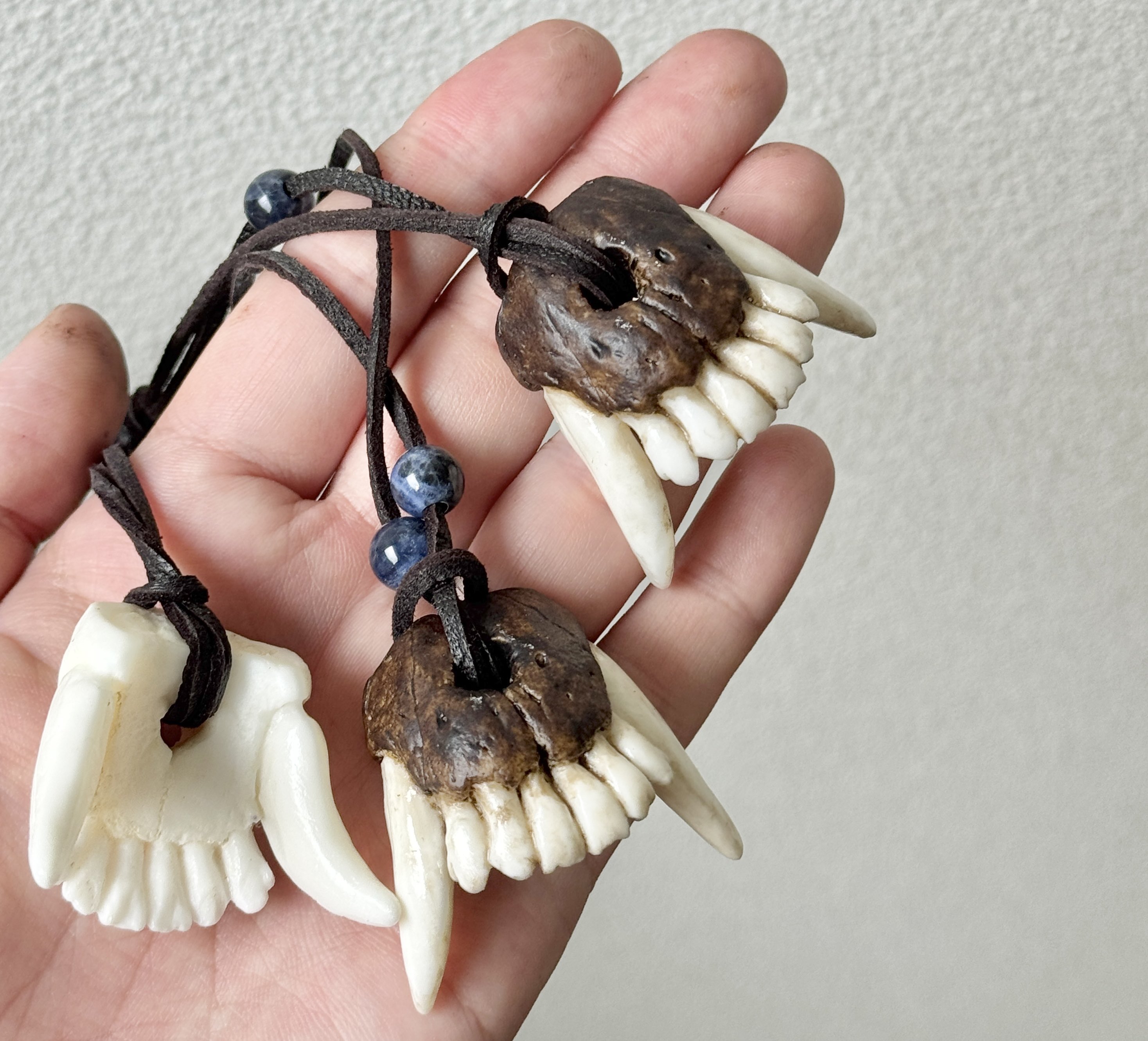 動物の顎骨 獣の牙 熊？ニホンオオカミ？ マタギ いらたか念珠 イタコ 魔除け 動物の顎骨 獣の牙 熊？ニホンオオカミ？ マタギ いらたか念珠