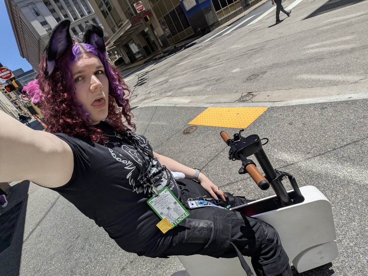 ashe 🐾🦴 tweet media