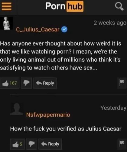 algoritmicavida's tweet image. 