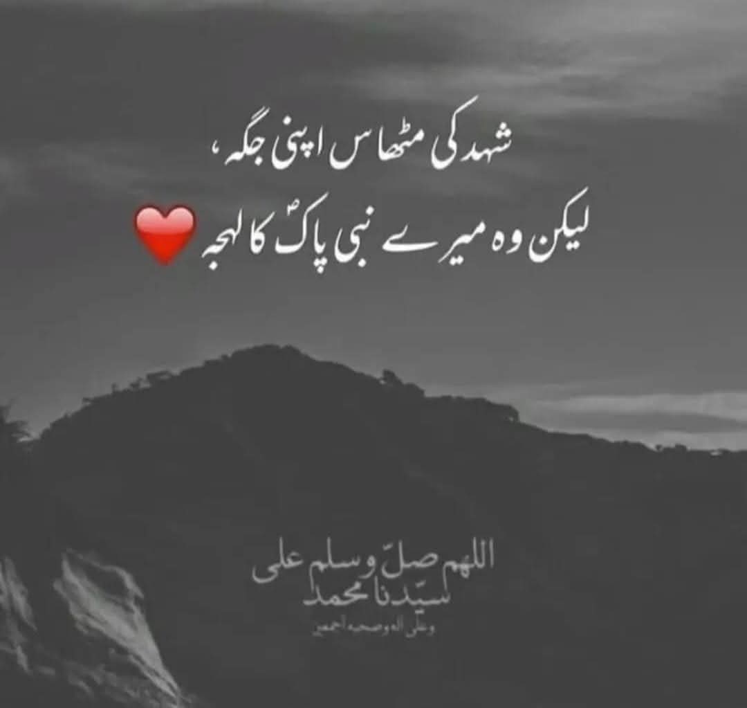 Elaaf Bukhari tweet media