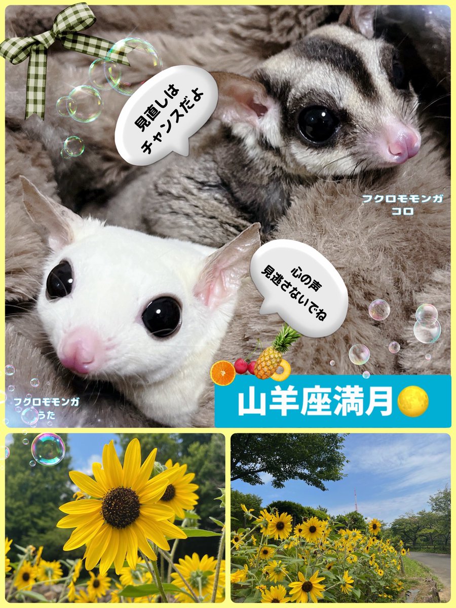 『身体と心に聞いてみて🐇山羊座♑️満月🌕』（7/25新月までの期間のテーマ）　

7/11の午前5:37頃、山羊座♑️で満月🌕を迎えました🐇
山羊座♑️社会や責任、努力の星座、活動的な星座でもあります✨

今回の満月🌕は
⭐︎頑張ってきた事に対してこのやり方のままで良いのか？