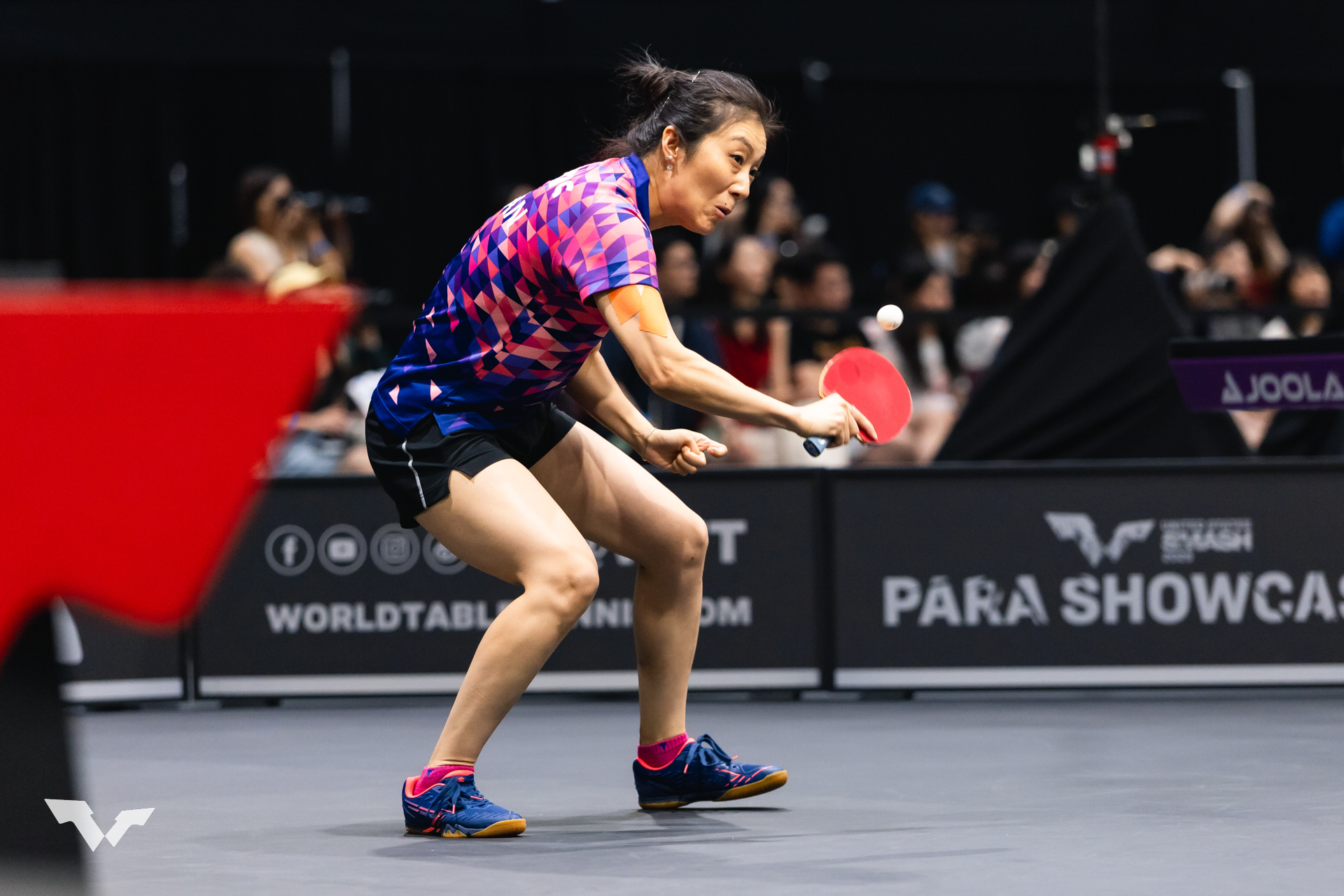 伊藤美誠 - Search / X