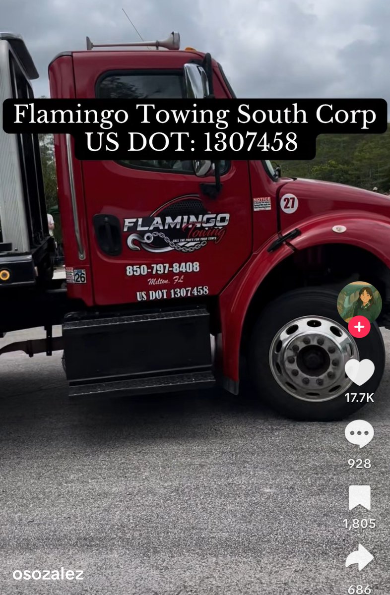 The TikTok creator in the bottom left corner is doxxing contractors at Alligator Alcatraz. <a href="/FBI/">FBI</a> may need to pay them a visit.