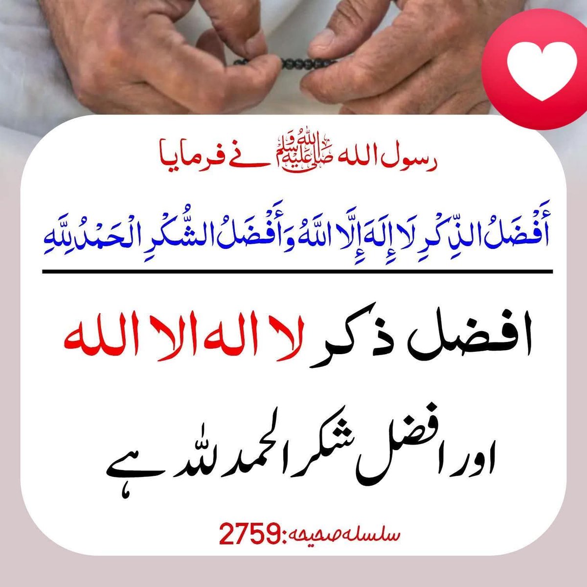 Elaaf Bukhari tweet media