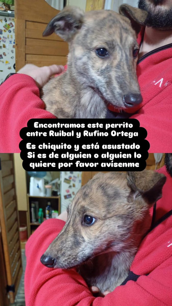 PRFuenza's tweet photo. Si puede retwittear!! https://t.co/LWKctGtDSJ