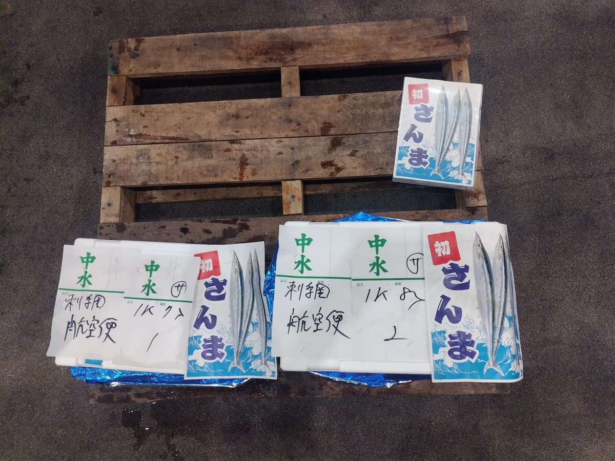 honjo222's tweet photo. 北海道・釧路港で水揚げされたサンマが空輸で本場に到着し、本日初セリが行われました。
セリ落とされたサンマは１尾あたり１万円と高値で取引されました。
今後、本格的なサンマ漁は８月１０日から始まる予定です。
今年はたくさん獲れて美味しく食べることができるといいですね☺🎶

#本場
#サンマ https://t.co/d31hNGyyvp