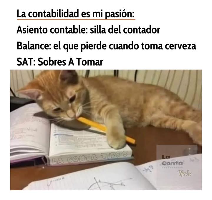 DonMemazos (@donmemazos) on Twitter photo 