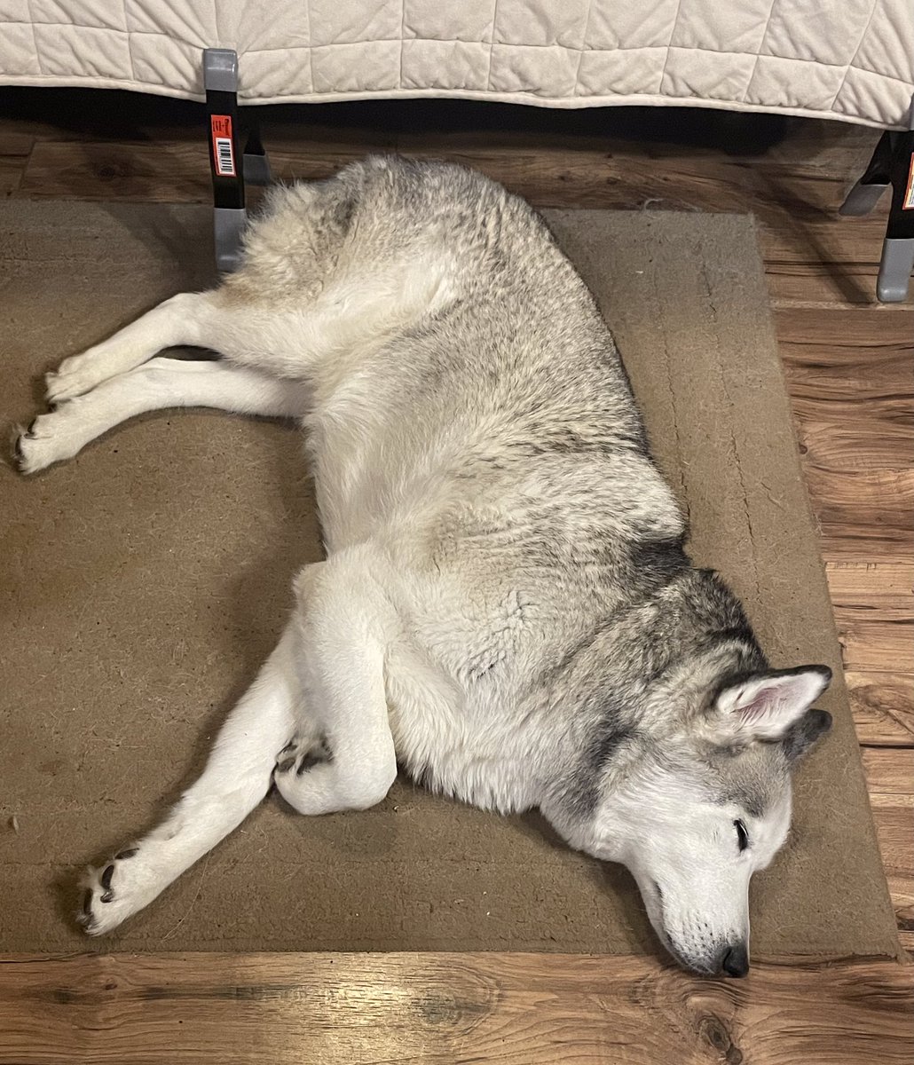 FishingSpotter's tweet image. My night was going so well until I stepped in dog shit, In the house. Not my problem!!
