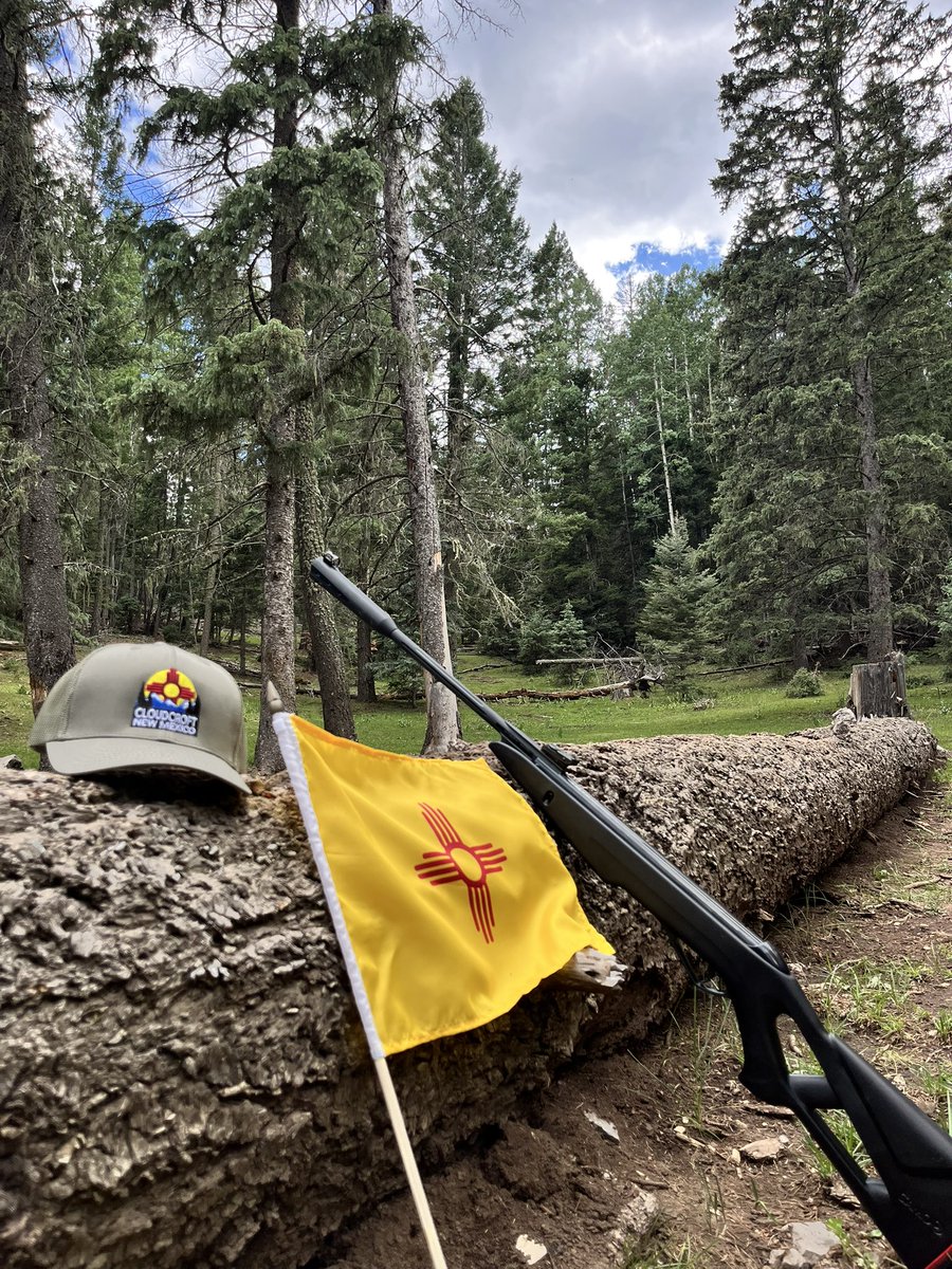 m1k3ym7z's tweet photo. Lost in the Land of the Pines 🌲☀️🇺🇸 #Cloudcroft #LincolnNationalForest #NMtrue https://t.co/V26vRMIfbn