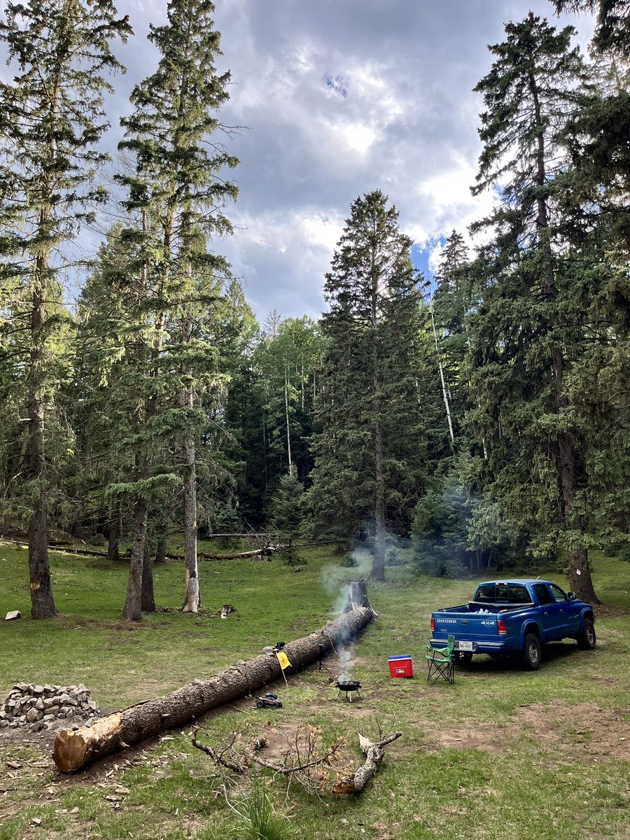 m1k3ym7z's tweet photo. Lost in the Land of the Pines 🌲☀️🇺🇸 #Cloudcroft #LincolnNationalForest #NMtrue https://t.co/V26vRMIfbn