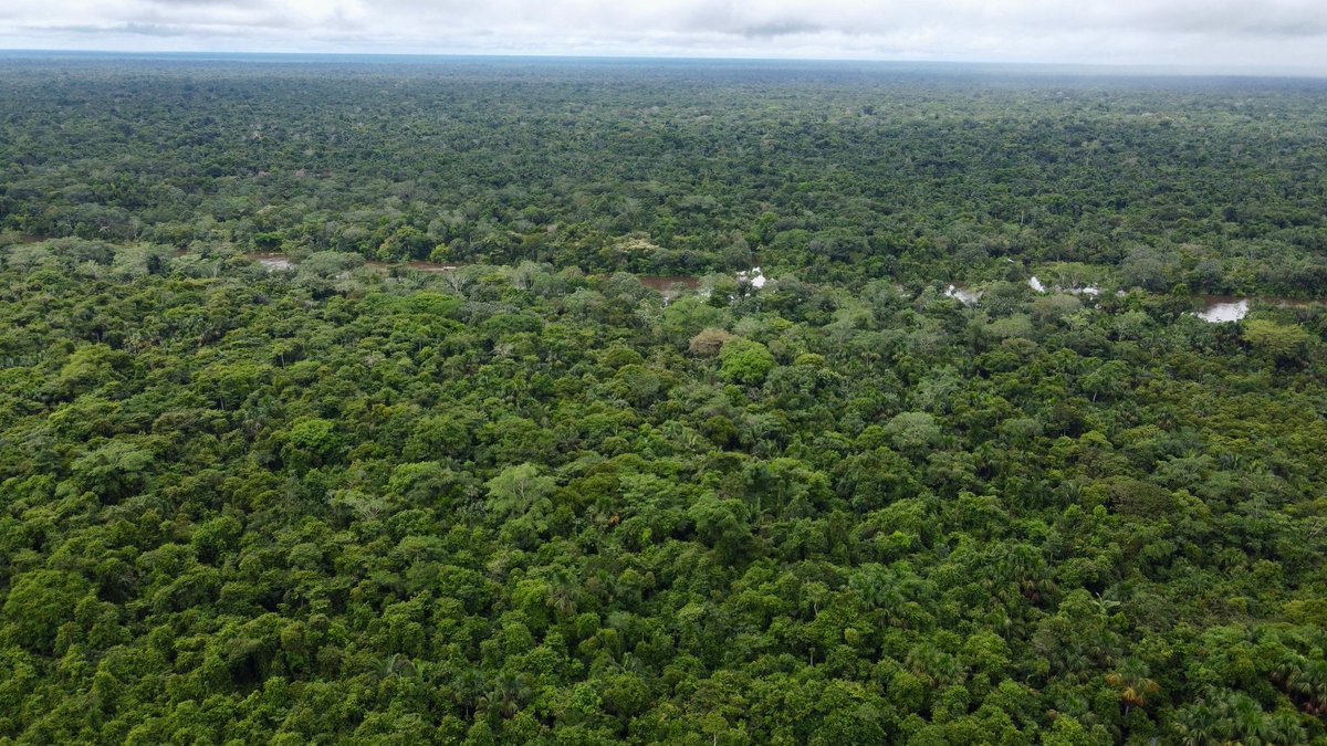 GOREL GESTIONA OPERATIVO PARA BUSCAR A MENOR DESAPARECIDO EN LA CUENCA DEL ALTO PASTAZA

📰Lee la nota completa en el siguiente link:
gob.pe/es/n/1207010

 #GobiernoRegionaldeLoreto #CompromisoConTodos
