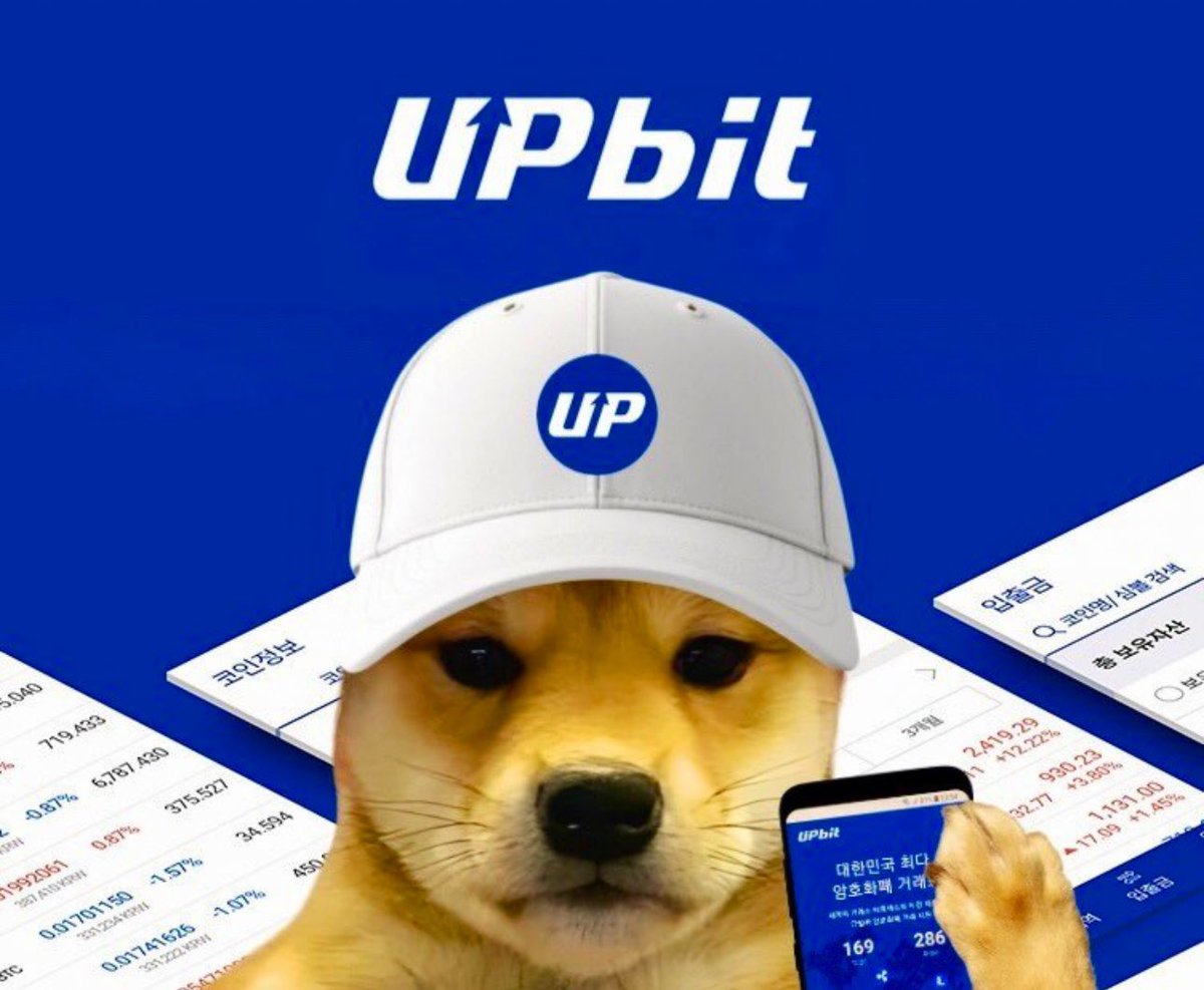 Dogwifupbit very soon. $WIF