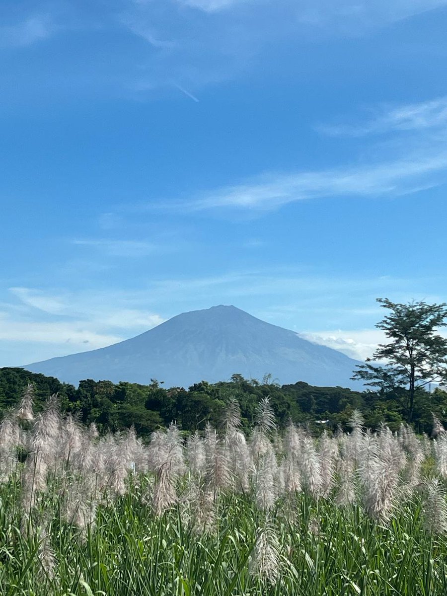 Di sawang panas, tapi adem pol