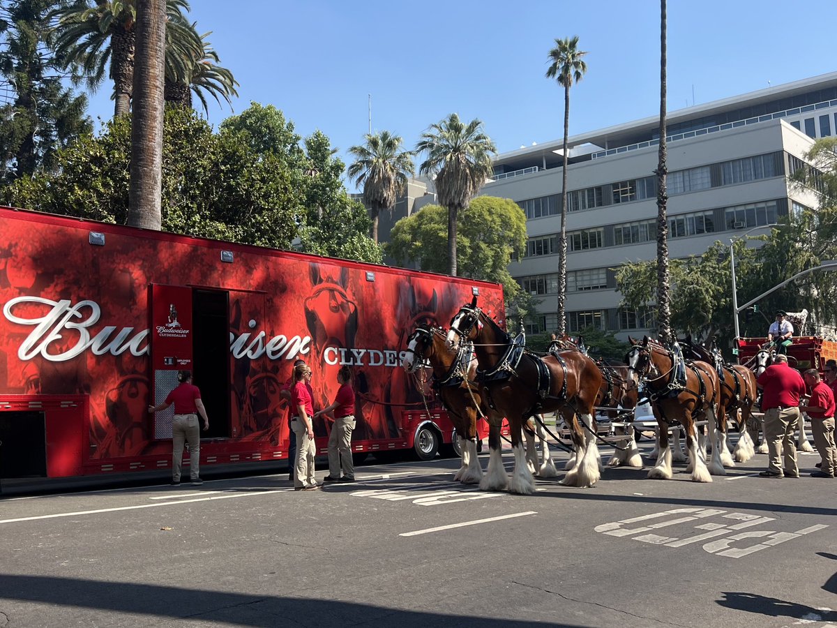 SenatorAshby's tweet image. The Capitol got a visit from the Budweiser Clydesdales today! #TeamAshby enjoyed getting to see these beauties and celebrate 15 years of partnership with Folds of Honor. Catch them at the CA State Fair opening day.