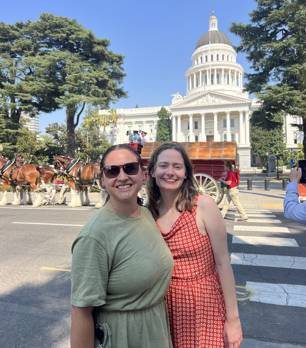 SenatorAshby's tweet image. The Capitol got a visit from the Budweiser Clydesdales today! #TeamAshby enjoyed getting to see these beauties and celebrate 15 years of partnership with Folds of Honor. Catch them at the CA State Fair opening day.