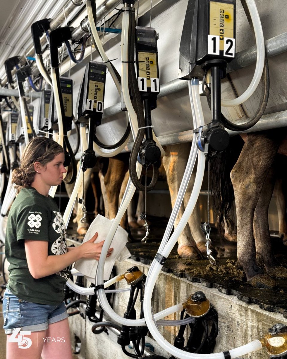 🚨 Big news in the Ontario dairy scene! 🚨

We’re beyond thrilled to introduce the newest entrant to the industry — tonight marked the very first milking at Sparksview Genetics  just outside of Woodstock!

One of the best parts of working in the Ontario dairy community is sharing