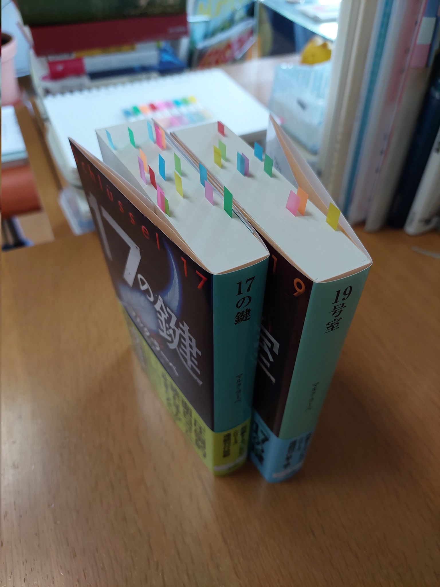 思いがいつかくる　小説・日本エンリッチ・グループの産声　 1996〜2000 思いがいつかくる 小説・日本エンリッチ・グループの産声 1996