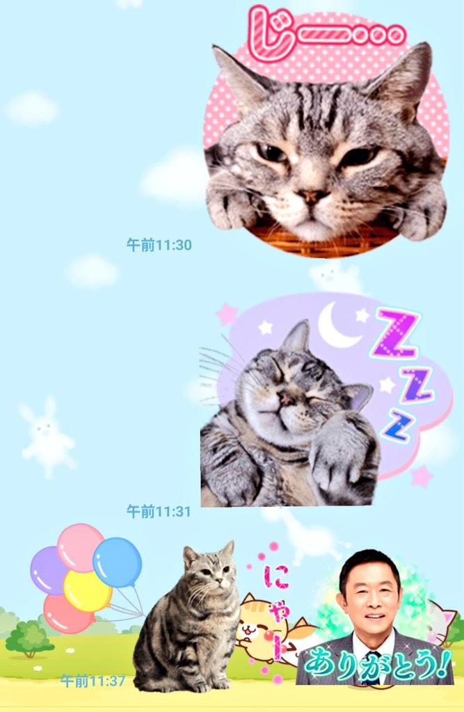 <a href="/tfItOPS1cr2h4Bd/">お京阪口</a> LINEスタンプで
ビビちゃん(黒豆ちゃん)に
逢って来ました😻

みんなのココロに生き続けてます🌟