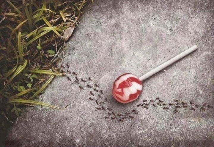 X verified accounts skipping unverified accounts tweets 😂