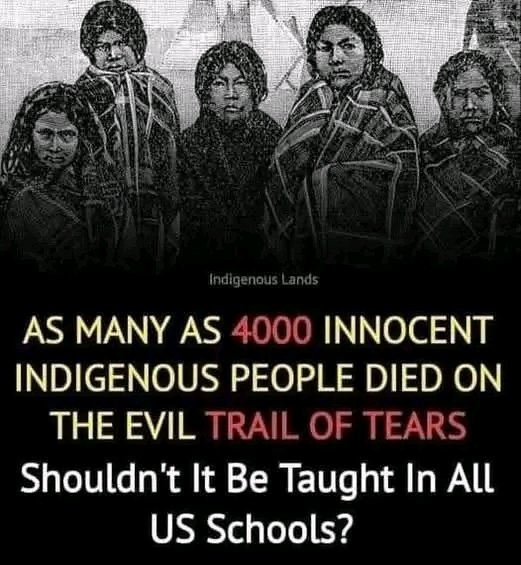 Native American Pride tweet media