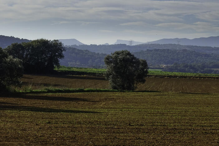 🌿Avui et recomanem una ruta que et permetrà conèixer la part nord del terme de Medinyà, seguint la conca baixa de la riera de la Farga.

Un itinerari que combina natura i patrimoni en un paisatge tranquil, ideal per gaudir-lo amb calma.

turismegirones.cat/activitat/un-t…

#turismegirones