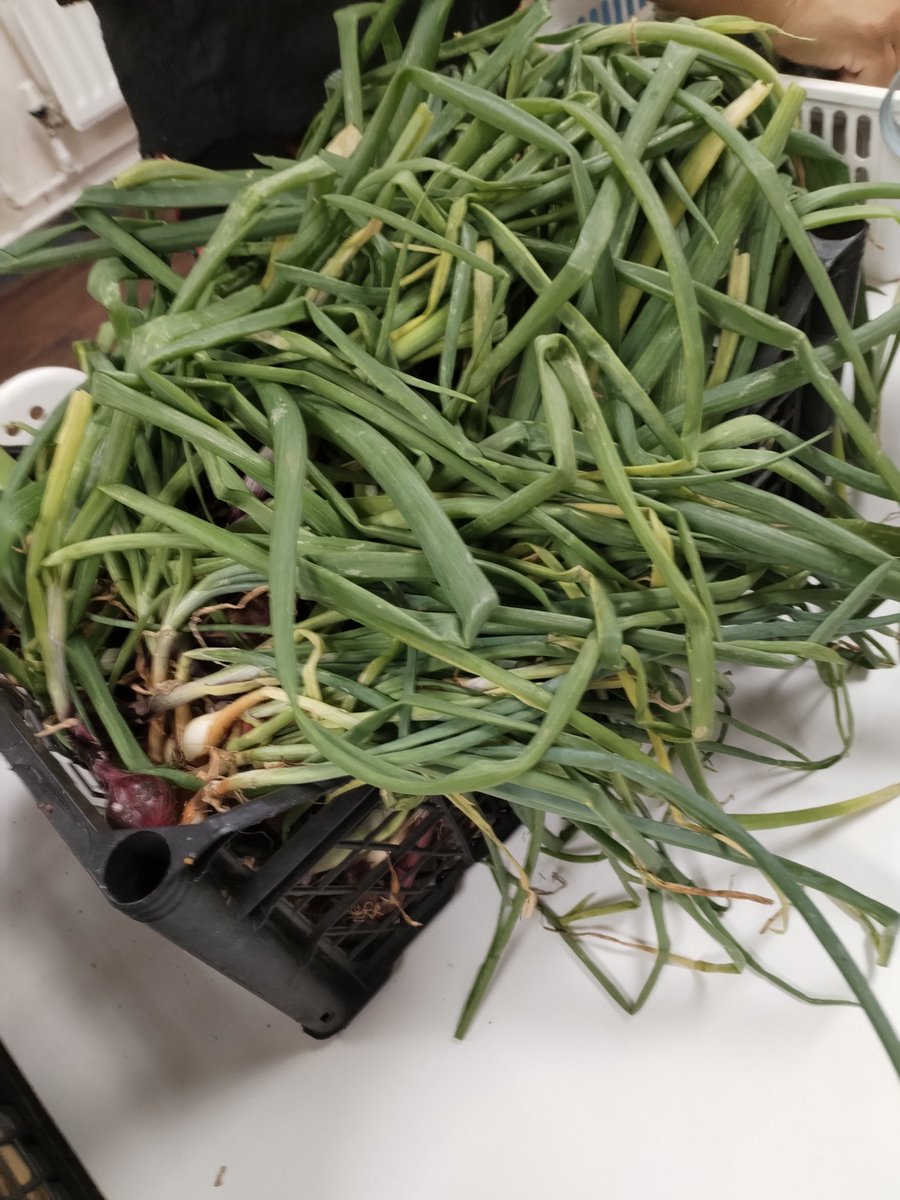 stmichaelsb21's tweet image. Our allotment leaders are off to the Bull Ring Market to sell their produce to the Brummie public after a successful harvest of onions, potatoes, tomatoes and more! #allotment #MarketTraders #WeAreStMikes