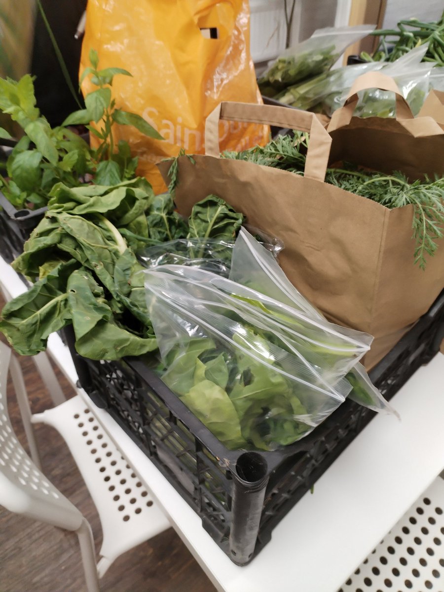 stmichaelsb21's tweet image. Our allotment leaders are off to the Bull Ring Market to sell their produce to the Brummie public after a successful harvest of onions, potatoes, tomatoes and more! #allotment #MarketTraders #WeAreStMikes