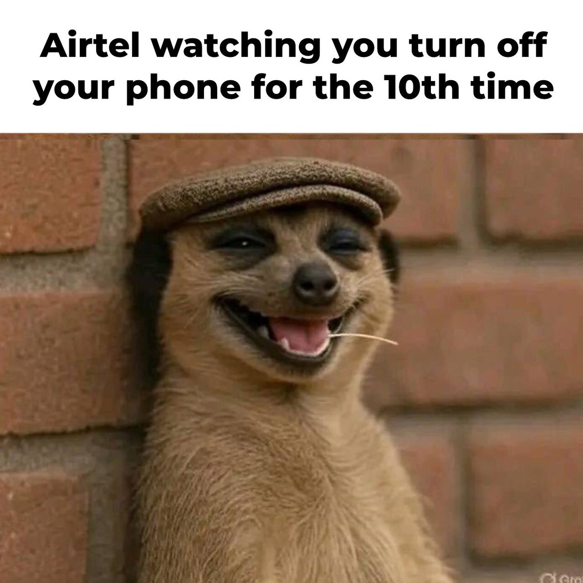 zedcreator's tweet image. 🤣