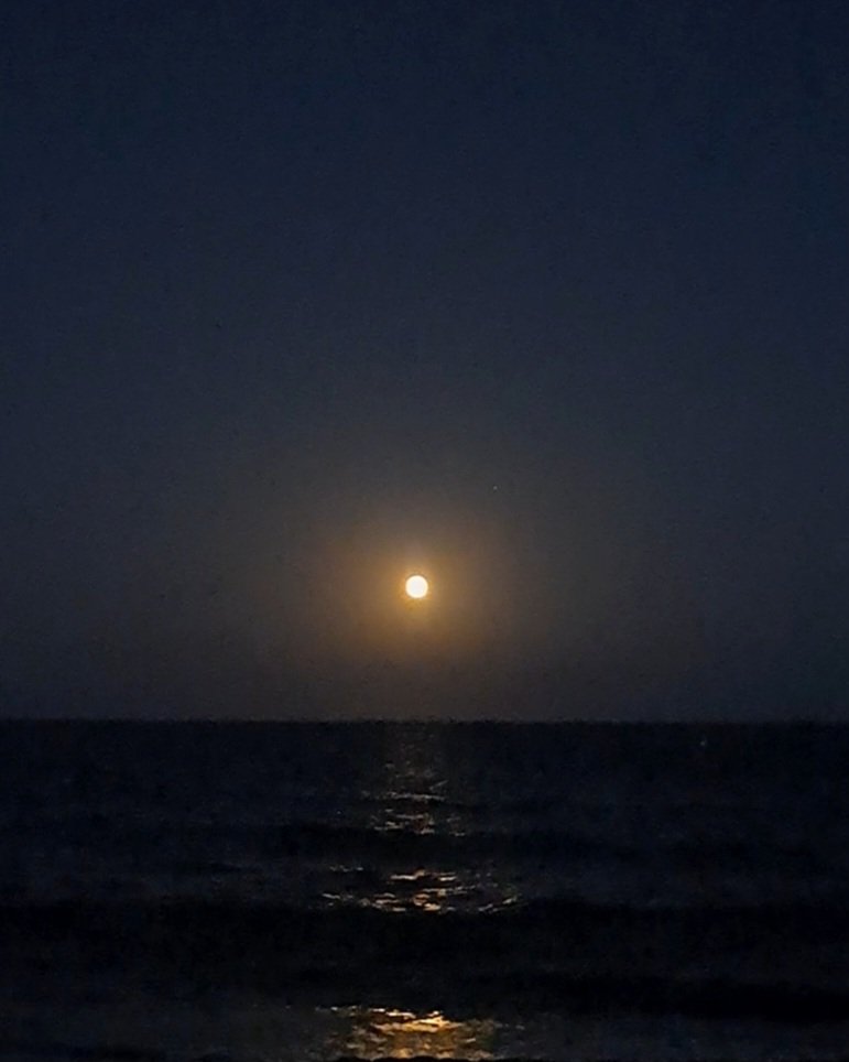 Carmen (@carmenglsmate) on Twitter photo En el eje
de un bello cielo,
la luna llena
es punto perfecto.
Su luz,
integral de plata,
se desliza
en el mar en calma.
En sus olas
viajan mis sueños,
convergiendo en la orilla
donde te amo y beso.
Y así, 
gozamos la noche
de otro verano
que deseo eterno.
#MiradaMatemática
BD 😘 En el eje
de un bello cielo,
la luna llena
es punto perfecto.
Su luz,
integral de plata,
se desliza
en el mar en calma.
En sus olas
viajan mis sueños,
convergiendo en la orilla
donde te amo y beso.
Y así, 
gozamos la noche
de otro verano
que deseo eterno.
#MiradaMatemática
BD 😘
