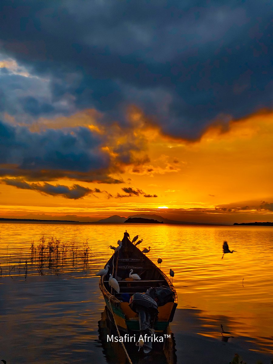 Msafiri_AF's tweet image. Planning a trip to a few Lake Victoria islands soon. If you’ve got an adventurous spirit and feel like tagging along, let me know.