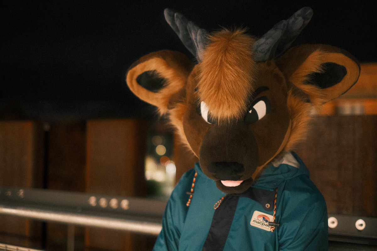 briar bramble tweet media