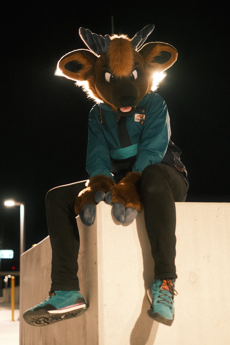 briar bramble tweet media