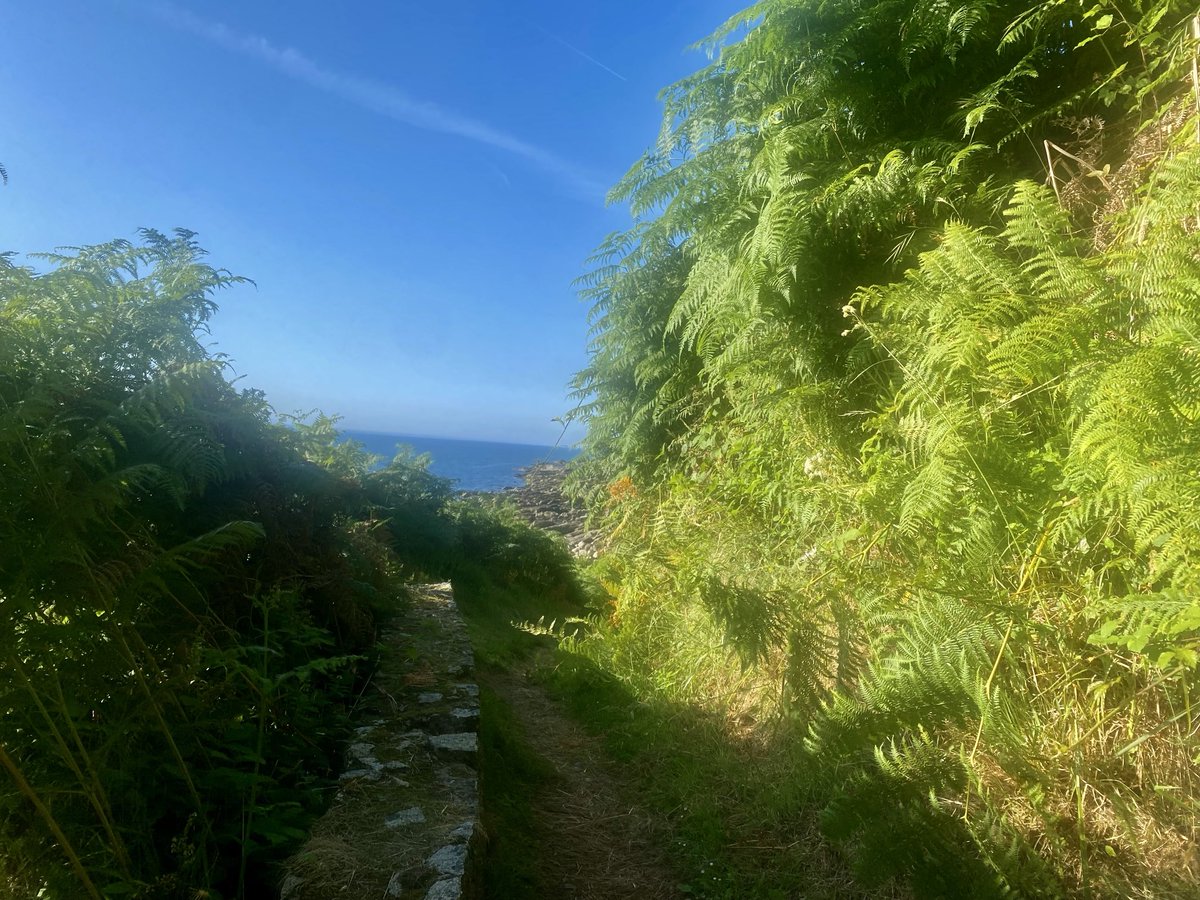 Kelly Mccaughan (@mccaughan_kelly) on Twitter photo Gorgeous July Friday morning <a href="/bbcniweather/">BBC NI Weather</a> <a href="/barrabest/">Barra Best</a> <a href="/WeatherCee/">Cecilia Daly</a> <a href="/geoff_maskell/">Geoff Maskell</a> <a href="/bbcweather/">BBC Weather</a> <a href="/WeatherAisling/">Aisling Creevey</a> <a href="/Louise_utv/">Louise Small</a> <a href="/bbcweather/">BBC Weather</a> Gorgeous July Friday morning <a href="/bbcniweather/">BBC NI Weather</a> <a href="/barrabest/">Barra Best</a> <a href="/WeatherCee/">Cecilia Daly</a> <a href="/geoff_maskell/">Geoff Maskell</a> <a href="/bbcweather/">BBC Weather</a> <a href="/WeatherAisling/">Aisling Creevey</a> <a href="/Louise_utv/">Louise Small</a> <a href="/bbcweather/">BBC Weather</a>