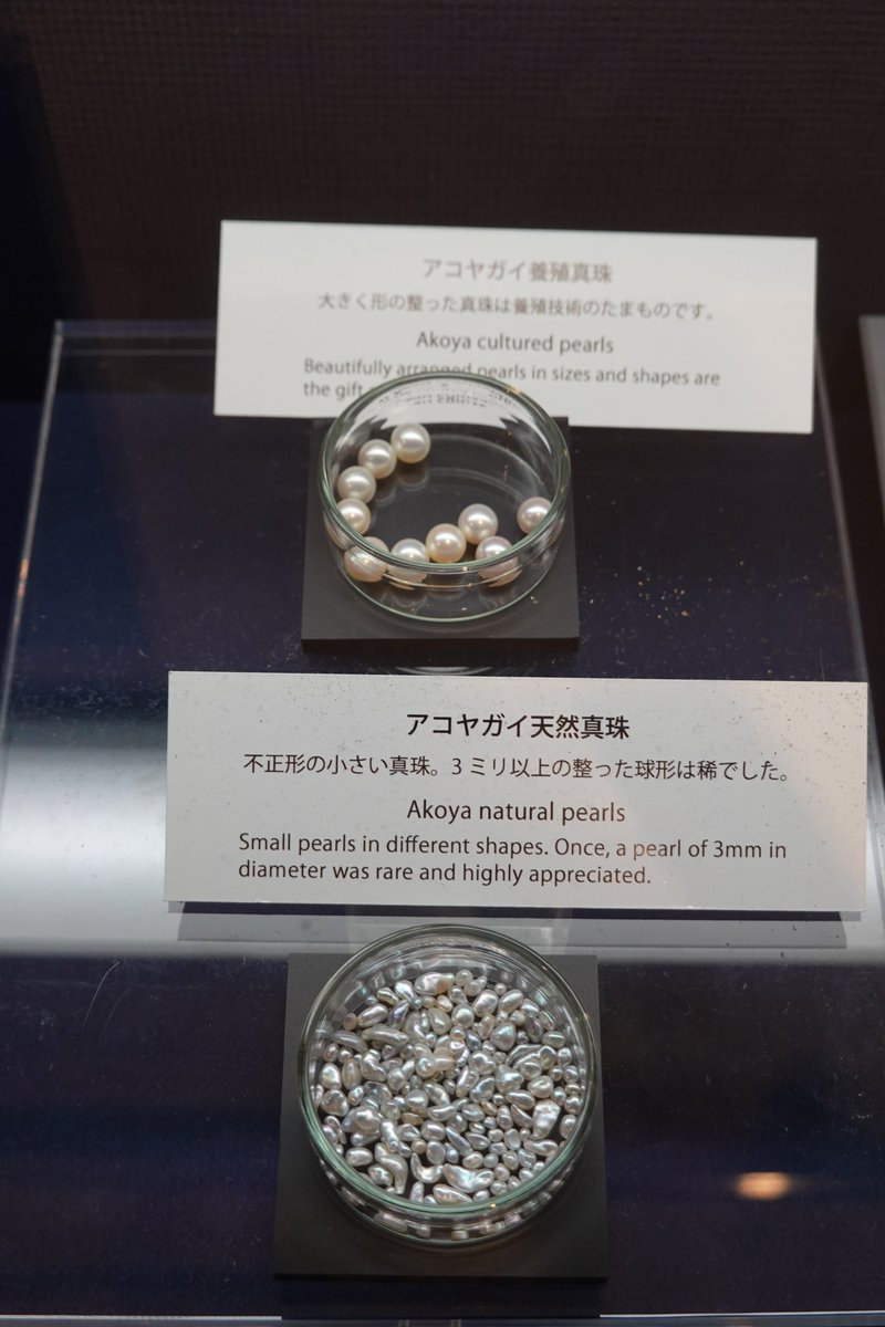 御木本幸吉 が半円真珠の養殖を成功させると、養殖方法にも改善が行