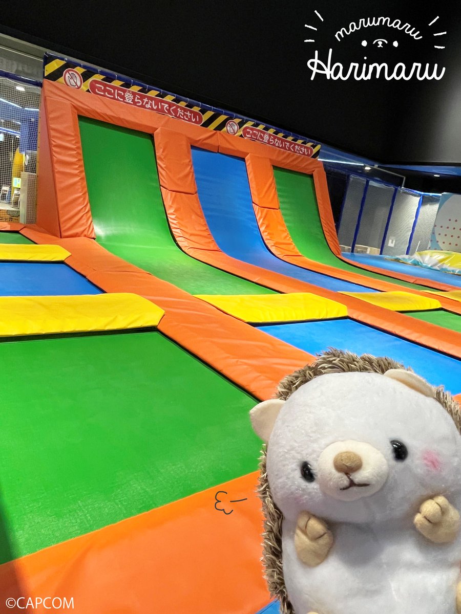 ooHARIMARU's tweet image. このトランポリンで…

どこまでもたかく とんでみせますよ！！✨

＃はりまる🦔　#CrazyBANeT