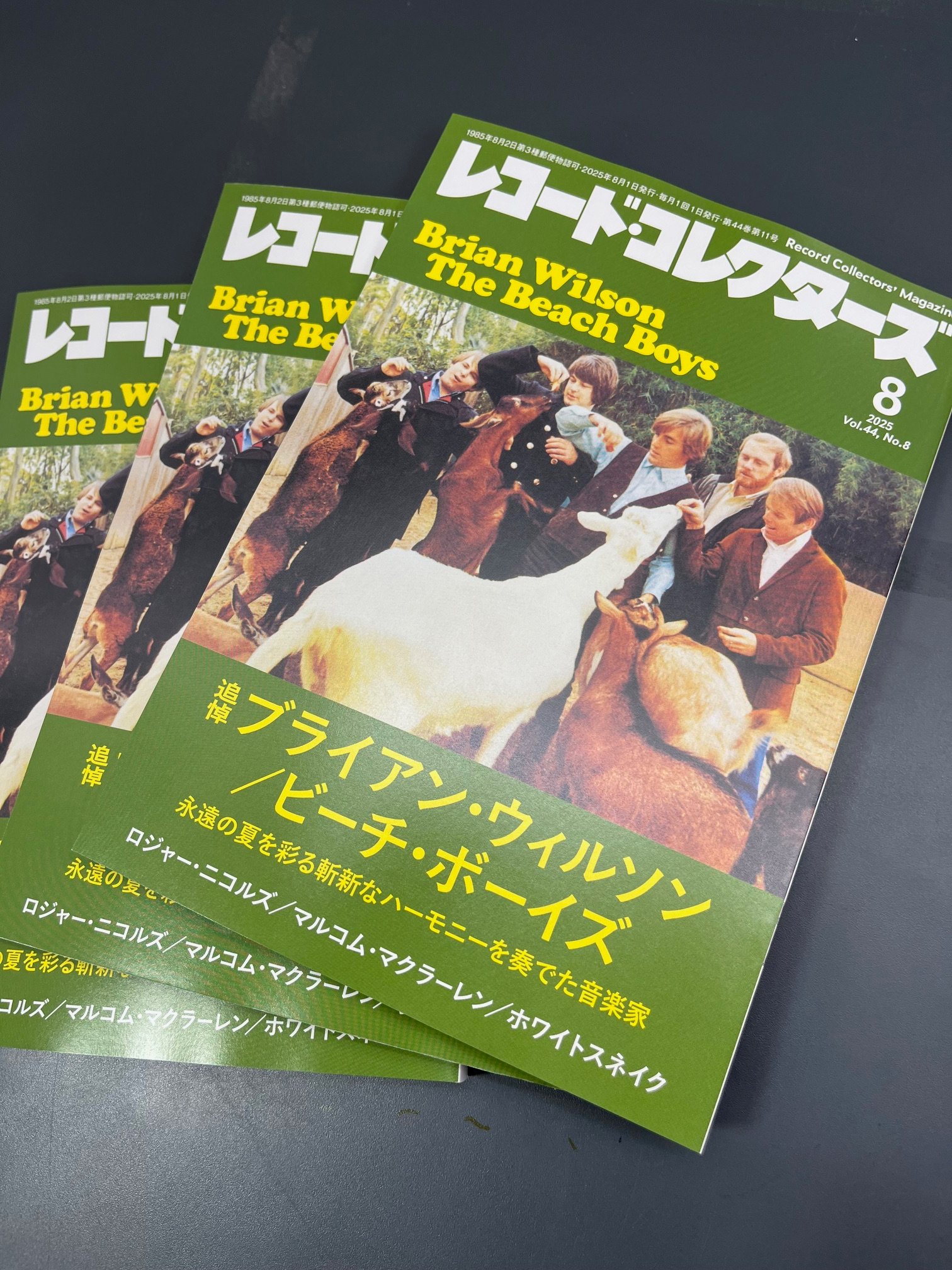 レコードコレクターズ増刊 レコード・コレクターズ増刊 USパンク～オルタナティブ