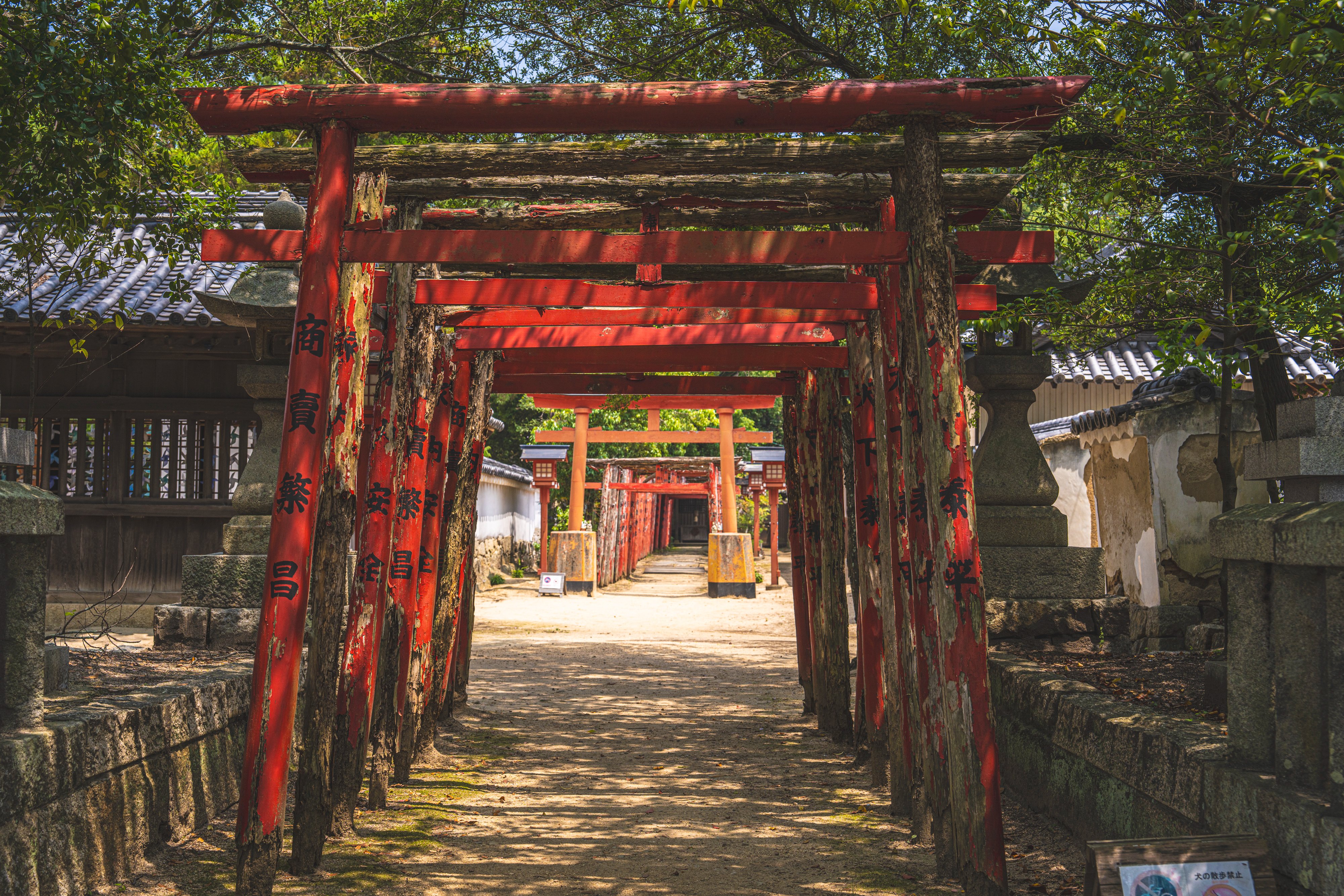 香川県風土記 蒔絵屏風時計（小）輝桜（きざくら）☆日本土産（みやげ）や記念