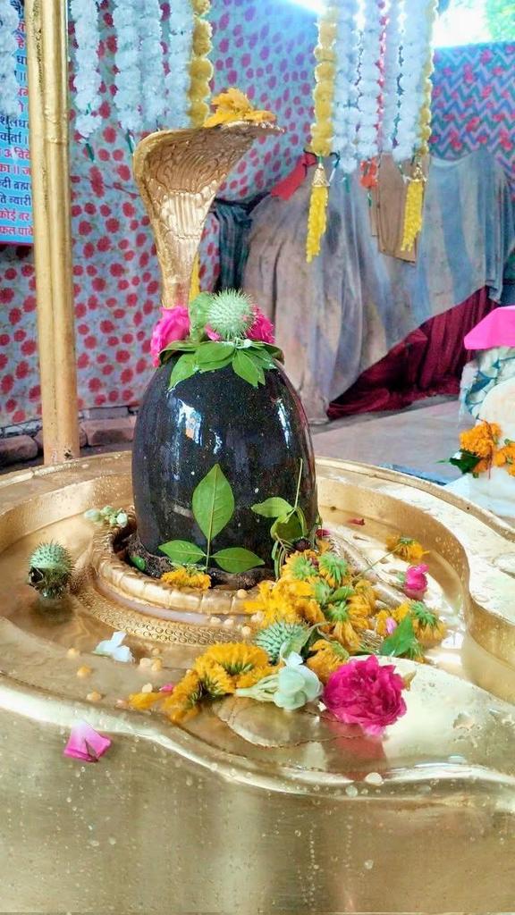 आप सभी को श्रावण मास की हार्दिक शुभकामनाएं! 
🙏🙏

"हर हर महादेव "

#शिवाय #श्रावणमास