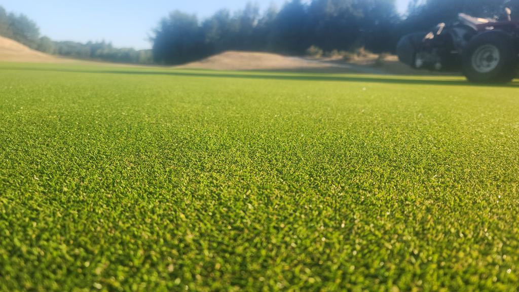 Tankersley Park Golf Club (@clubtankersley) on Twitter photo The lads really have kncoked the ball out of the park, setting the course up for the club championship this coming weekend. The greens are absolute class <a href="/tomwood_turf/">Tom Wood 🌱</a>. <a href="/AgrovistaAMNTY/">Agrovista Amenity</a> 🏌🔥 The lads really have kncoked the ball out of the park, setting the course up for the club championship this coming weekend. The greens are absolute class <a href="/tomwood_turf/">Tom Wood 🌱</a>. <a href="/AgrovistaAMNTY/">Agrovista Amenity</a> 🏌🔥