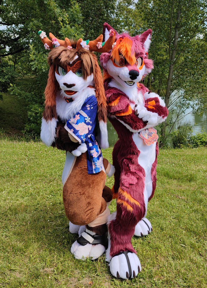 Why are you looking at us? 😠
I love this photo ☺️
📸: kiglirs