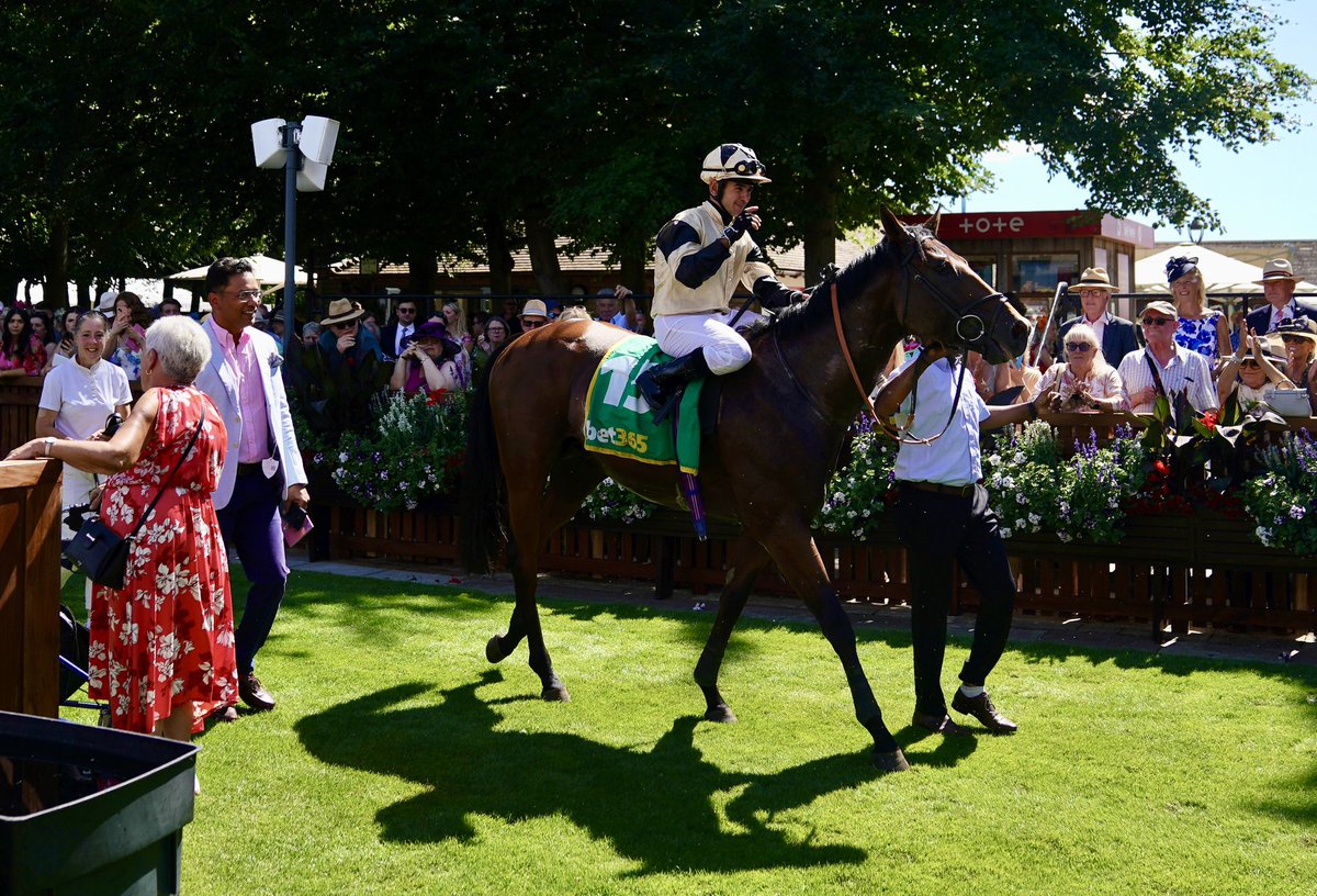jjgiddens's tweet image. Runners and riders during Ladies Day of the Debenhams July Festival 2025 at Newmarket Racecourse