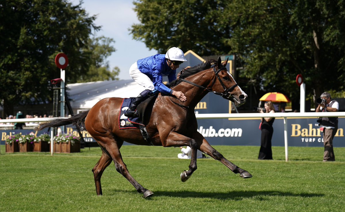 jjgiddens's tweet image. Runners and riders during Ladies Day of the Debenhams July Festival 2025 at Newmarket Racecourse