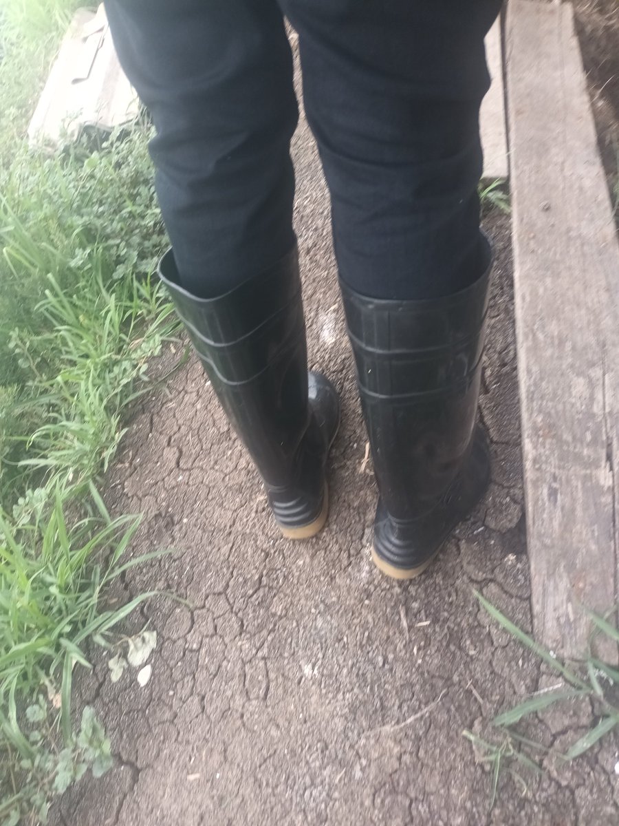 rubberboot89's tweet photo. วันละสี วันละยี่ห้อ เเต่ละคู่กลิ่นเหม็นๆ 😜🤢🩷 https://t.co/5eZS2ea2pE