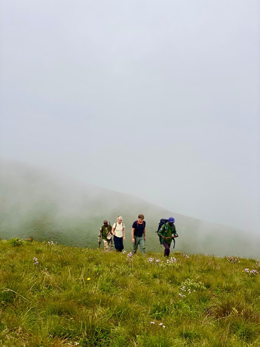Nyika National Park