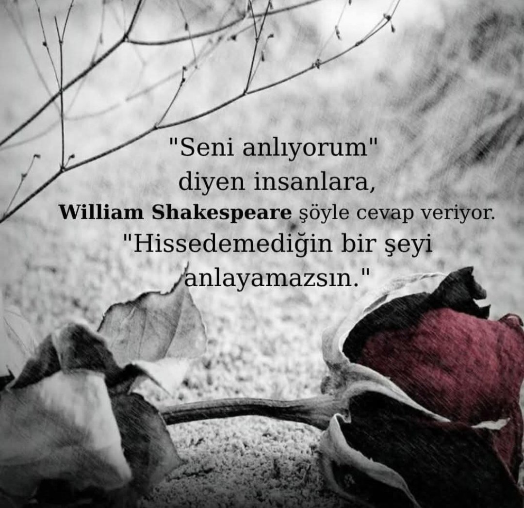 Sevda MUTLU (@76sevda76) on Twitter photo 